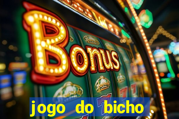 jogo do bicho crash bingo